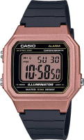Часы Часы Casio W-217HM-5AVEF в Челябинске в Челябинске