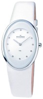 Часы Часы Skagen 648SSLWW в Челябинске в Челябинске