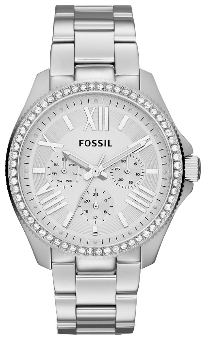 Часы Часы Fossil AM4481 в Челябинске в Челябинске