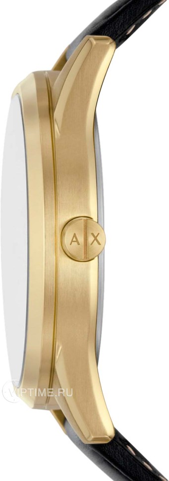 Часы Часы Armani Exchange AX1876 в Челябинске в Челябинске