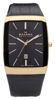 Часы Часы Skagen 984LRLB в Челябинске в Челябинске