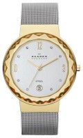 Часы Часы Skagen SKW2002 в Челябинске в Челябинске