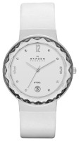 Часы Часы Skagen SKW2003 в Челябинске в Челябинске