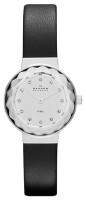 Часы Часы Skagen SKW2005 в Челябинске в Челябинске