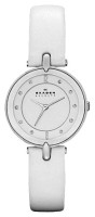 Часы Часы Skagen SKW2012 в Челябинске в Челябинске