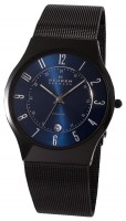 Часы Часы Skagen T233XLTMN в Челябинске в Челябинске