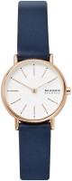 Часы Часы Skagen SKW2838 в Челябинске в Челябинске