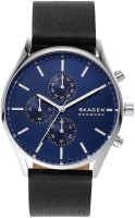 Часы Часы Skagen SKW6606 в Челябинске в Челябинске