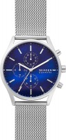 Часы Часы Skagen SKW6652 в Челябинске в Челябинске