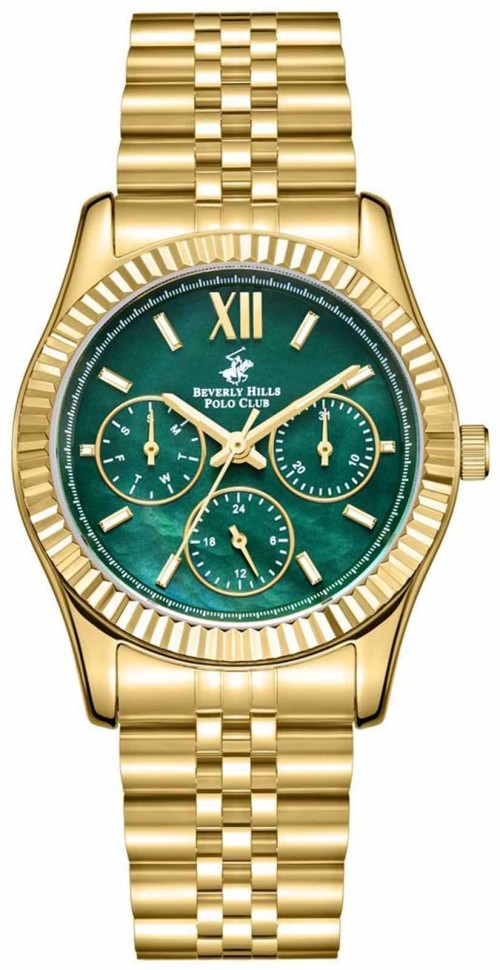Часы Часы Beverly Hills Polo Club BP3169C.170 в Челябинске в Челябинске