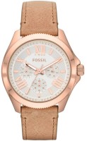 Часы Часы Fossil AM4532 в Челябинске в Челябинске