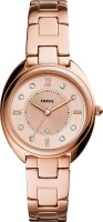 Часы Часы Fossil ES5070 в Челябинске в Челябинске