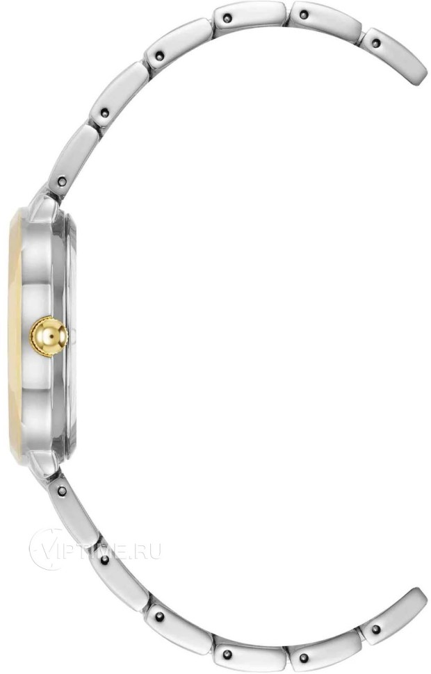 Часы Часы Anne Klein 5021SVTT в Челябинске в Челябинске