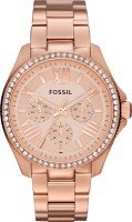 Часы Часы Fossil AM4483 в Челябинске в Челябинске