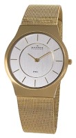 Часы Часы Skagen 233LGG в Челябинске в Челябинске