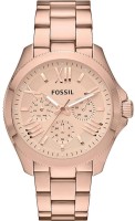 Часы Часы Fossil AM4511 в Челябинске в Челябинске