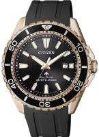 Часы Часы Citizen BN0193-17E в Челябинске в Челябинске
