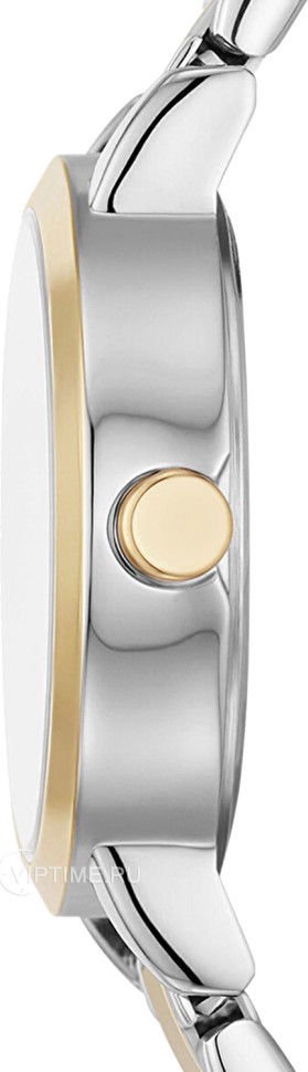 Часы Часы DKNY NY6676 в Челябинске в Челябинске