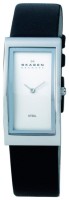 Часы Часы Skagen 359UGLD в Челябинске в Челябинске