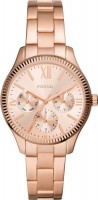 Часы Часы Fossil BQ3691 в Челябинске в Челябинске