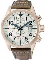 Часы Часы Citizen AN3623-02A в Челябинске в Челябинске