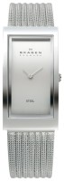 Часы Часы Skagen 359USSS в Челябинске в Челябинске
